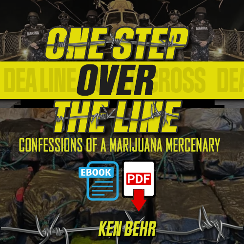 one step over the line book